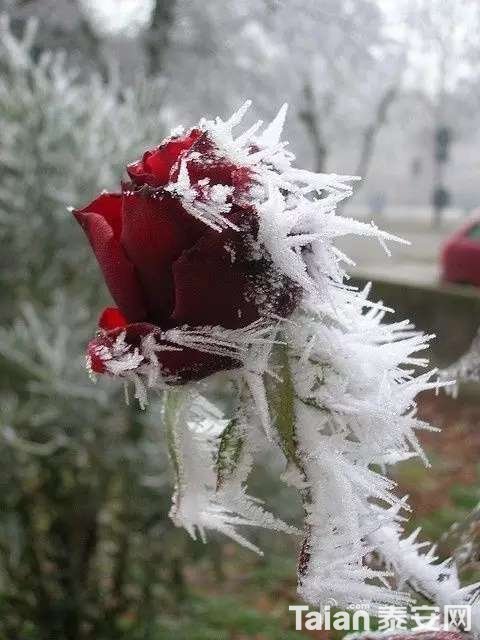 20180107_844987_1515291531904.jpg