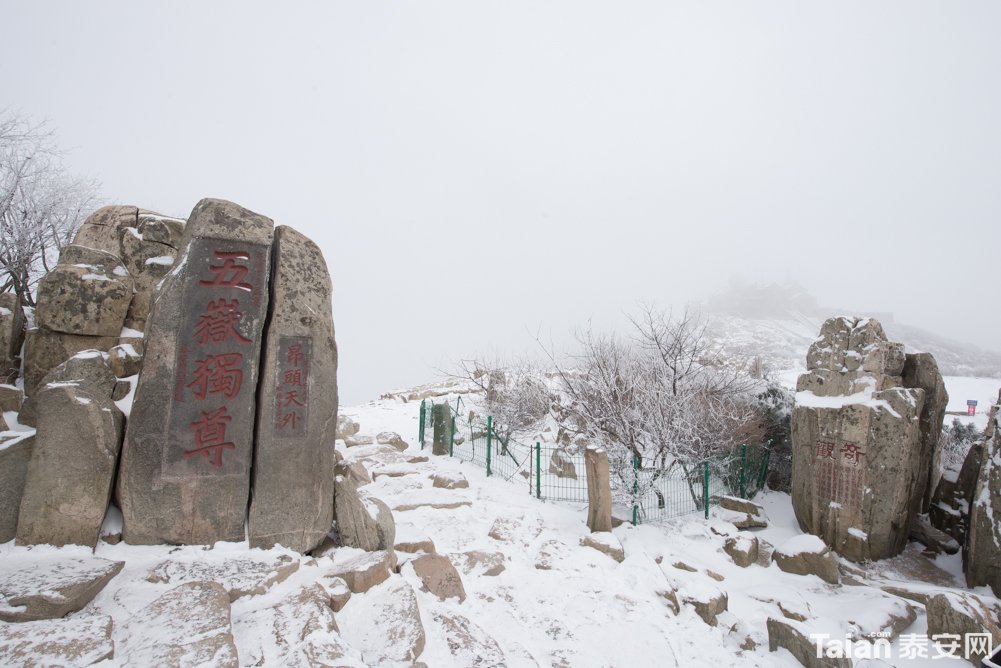 DSC_3334.jpg