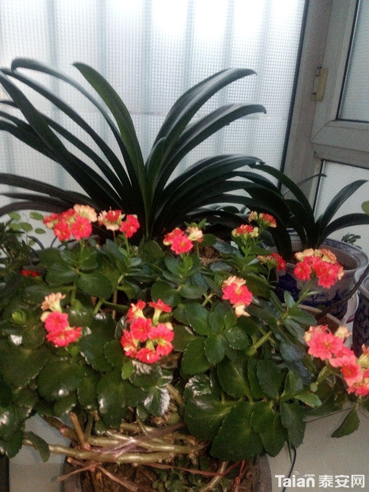 IMG_20180120_075713.jpg