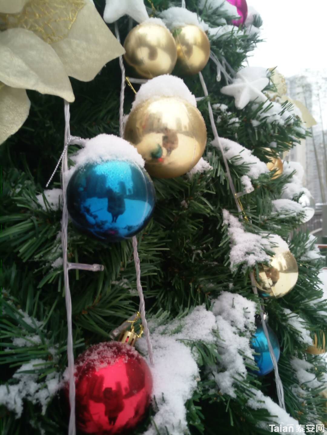 ΢��ͼƬ_201801291051065.jpg