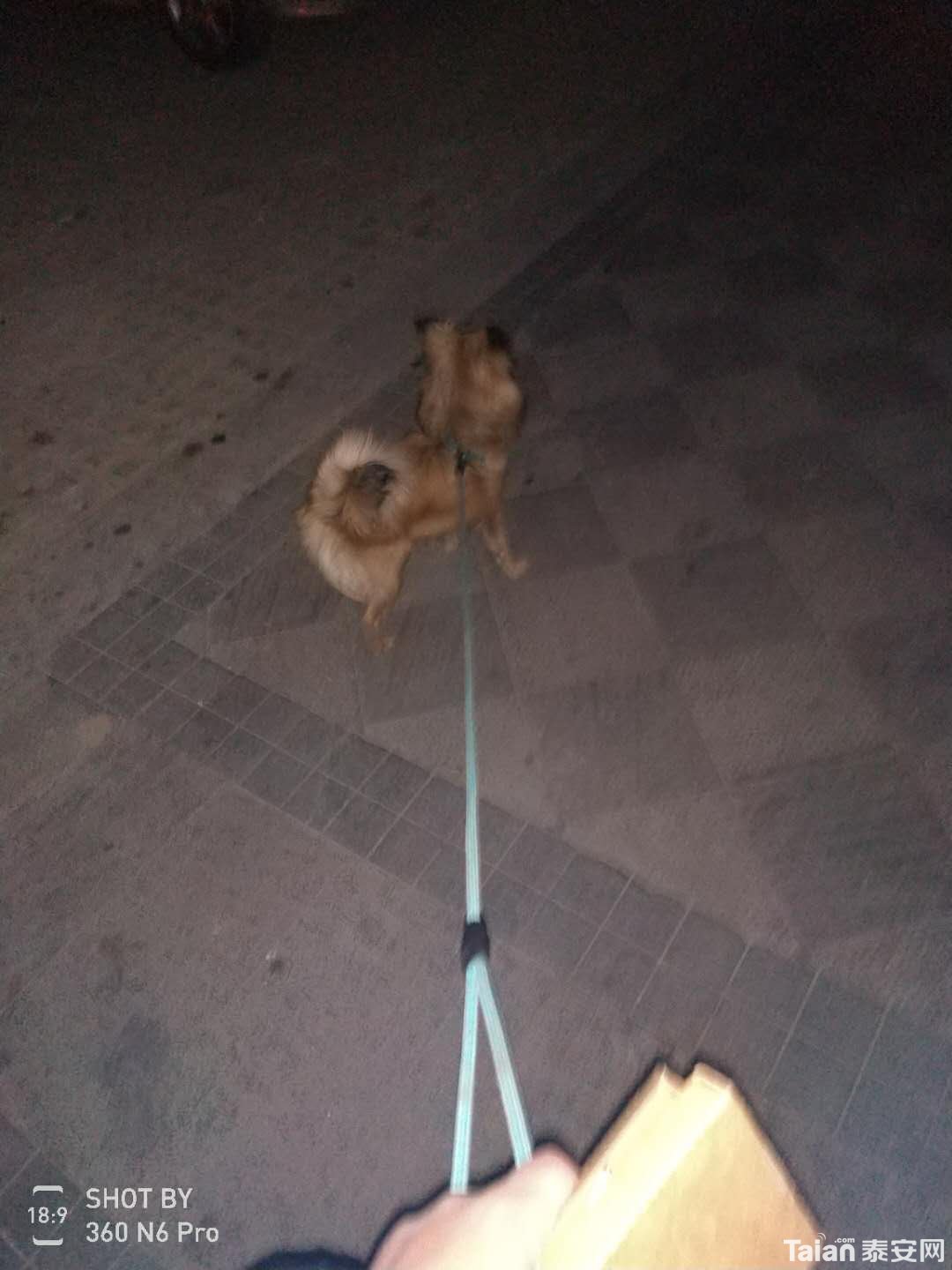 ΢��ͼƬ_20180130095753.jpg