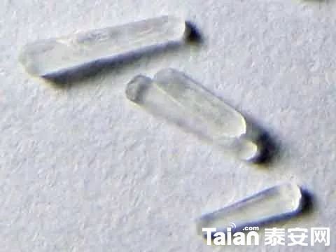 a5546267e71500dc9e2b70b89294727d.jpg