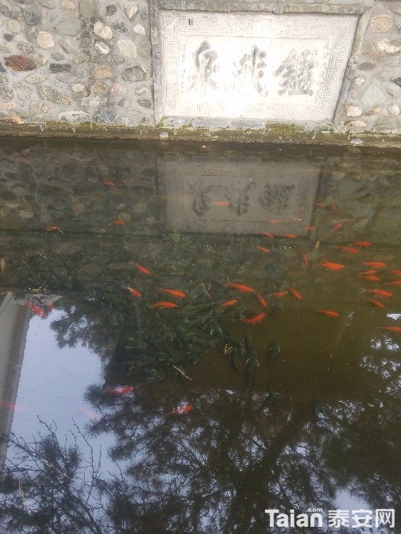 20180210_095840.jpg