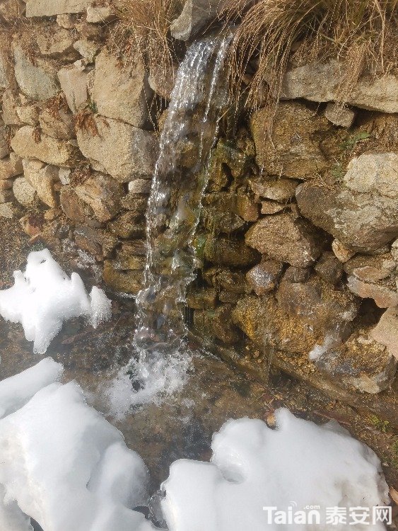 20180210_100501.jpg