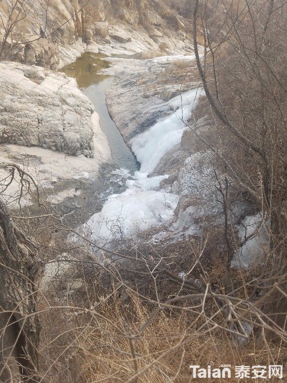 20180210_101106.jpg