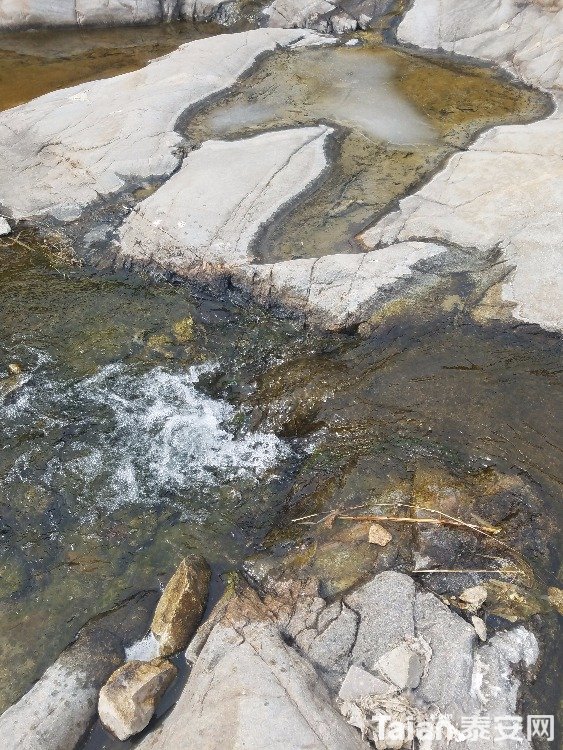 20180210_105313.jpg
