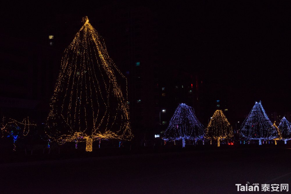 DSC_5295.jpg