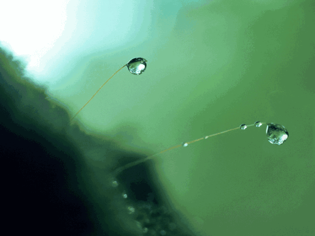 20180219_844987_1518992913099.gif