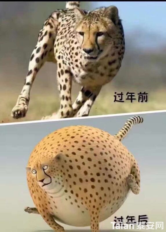 image.jpeg