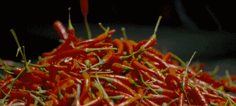 20180224_844987_1519438687322.gif