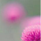 201803288700031522218655451233.jpg