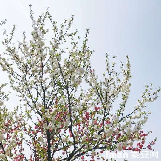 20180331_844987_1522486875519.jpg
