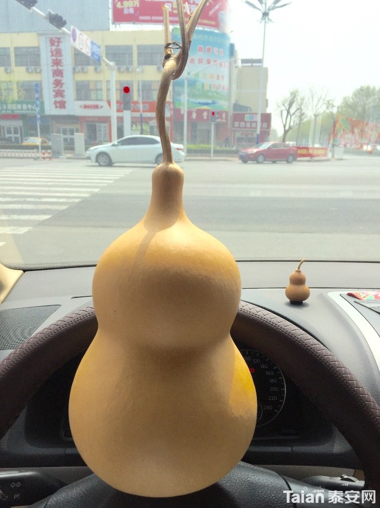 image.jpeg