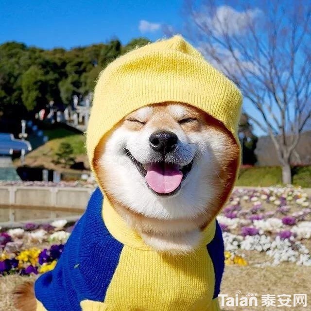 image.jpeg