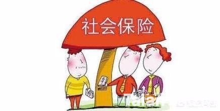 4d7f20b9fdb3c8cd081e2d3a0b9e55a1.jpg