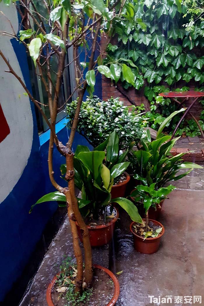 20180422_075002.jpg