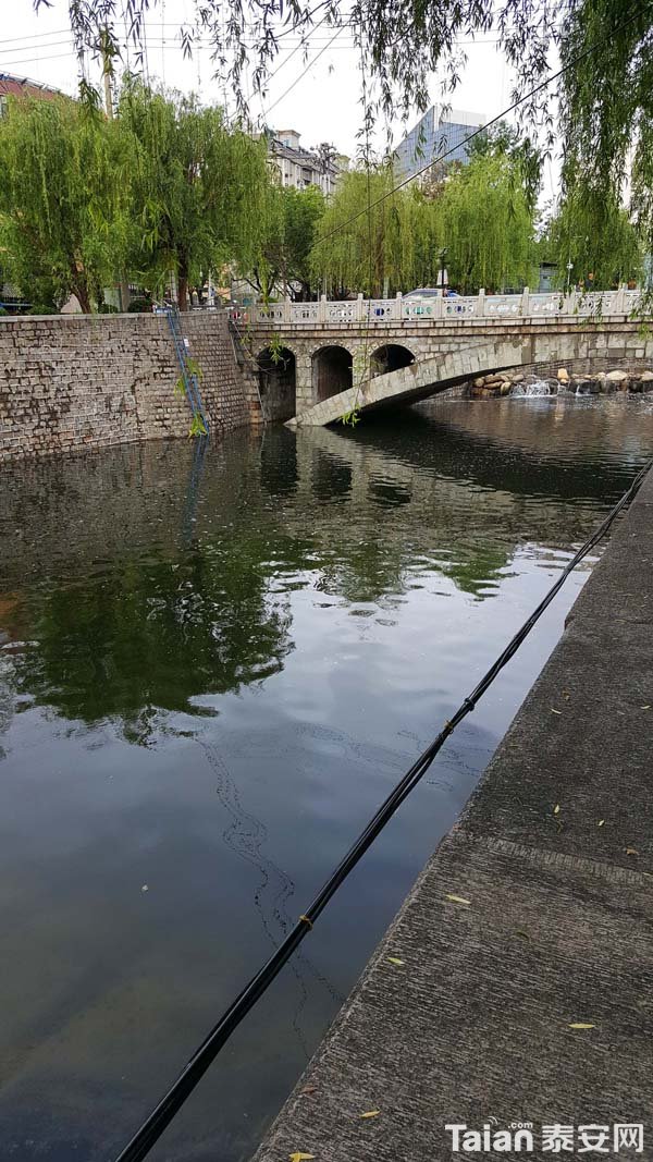 20180423_064956.jpg