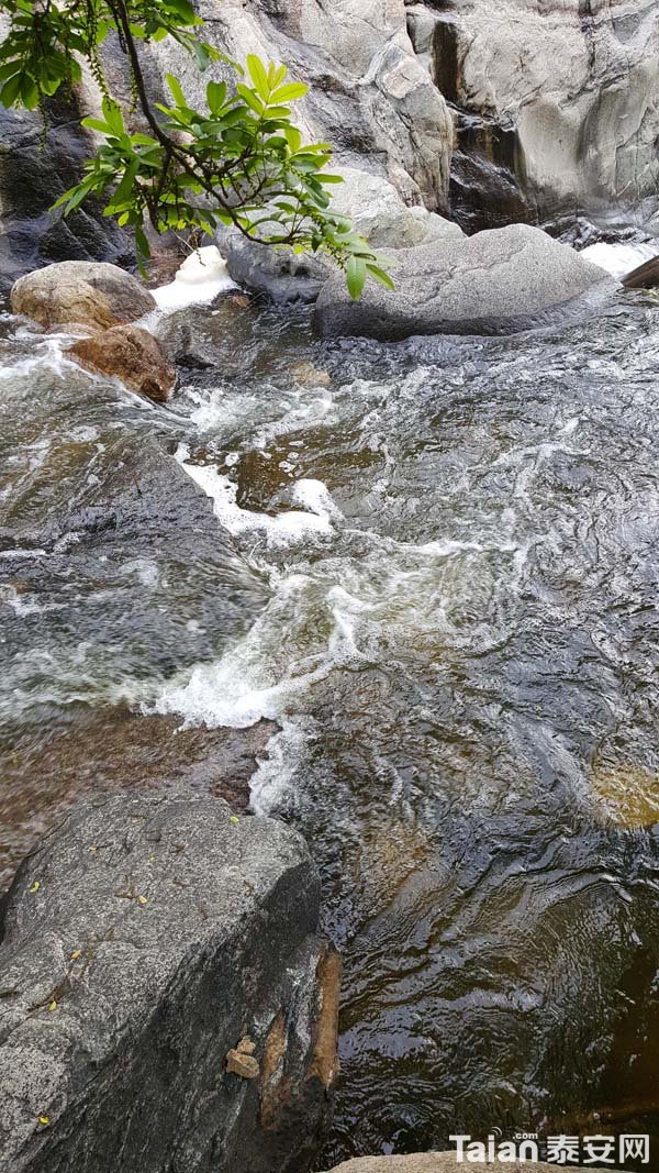 20180423_071223.jpg
