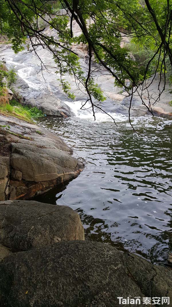 20180423_071624.jpg