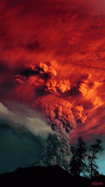 20180504_844987_1525431167539.gif