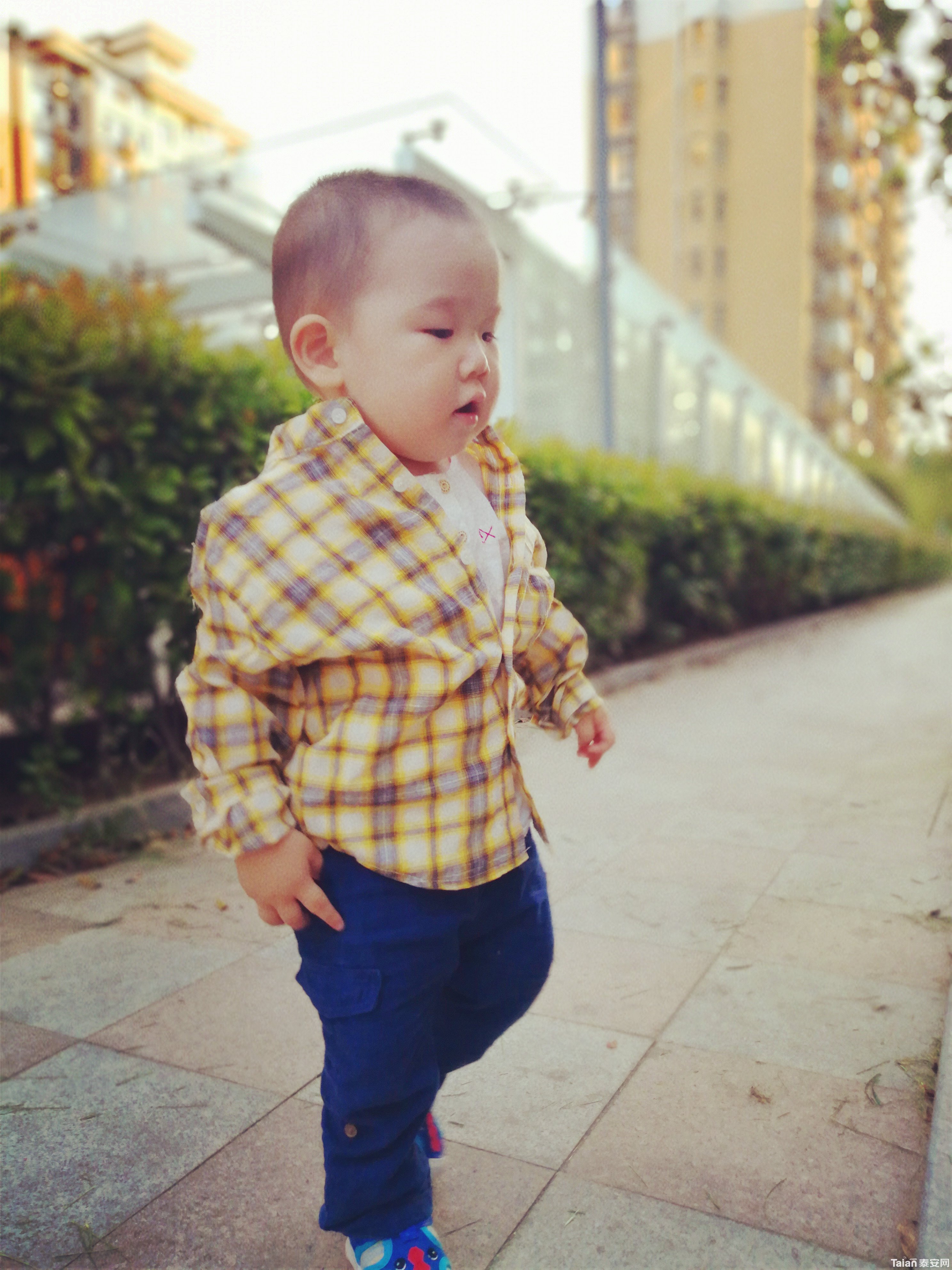 QQͼƬ20180504080936.jpg