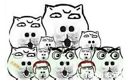 fa6ee319290144199961af0d6ecd64e2.jpg