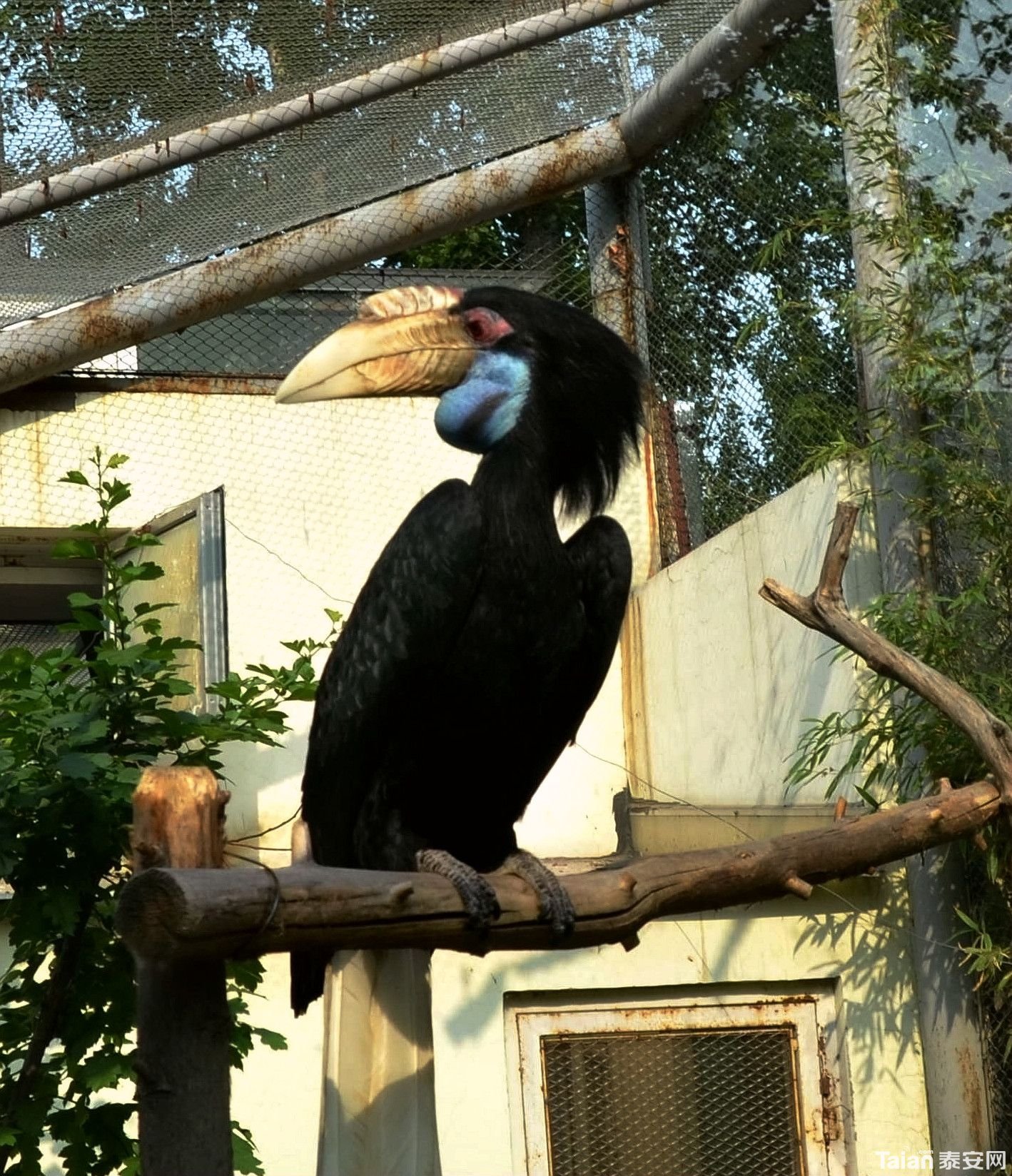 DSC_0086_����.jpg