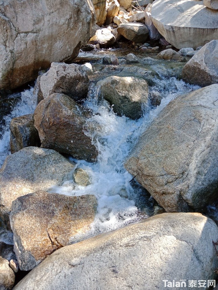 IMG20180628145912.jpg