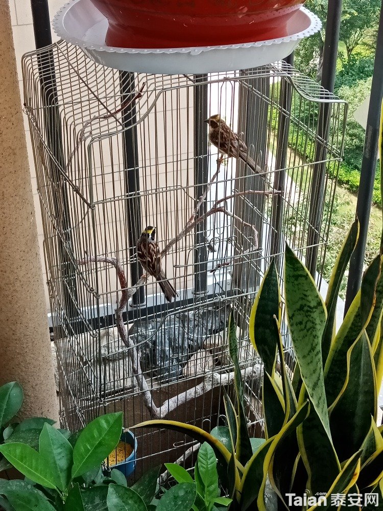 IMG20180706133054.jpg