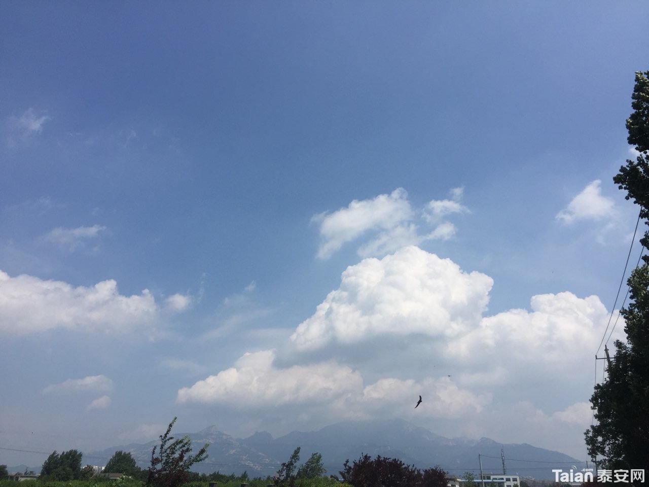 20180714920891531552808356103.jpg