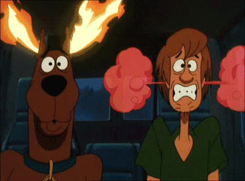 timg.gif
