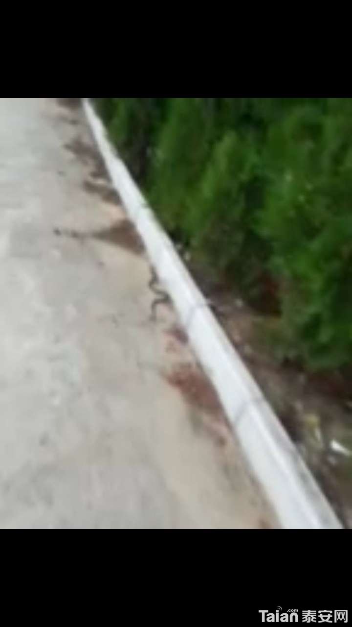 20180723_873967_1532311853736.jpg