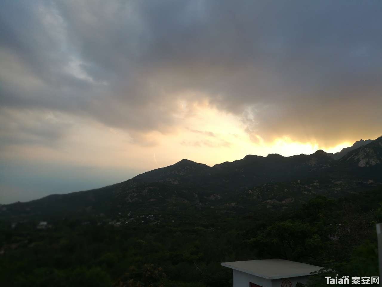 20180723_873967_1532311854336.jpg