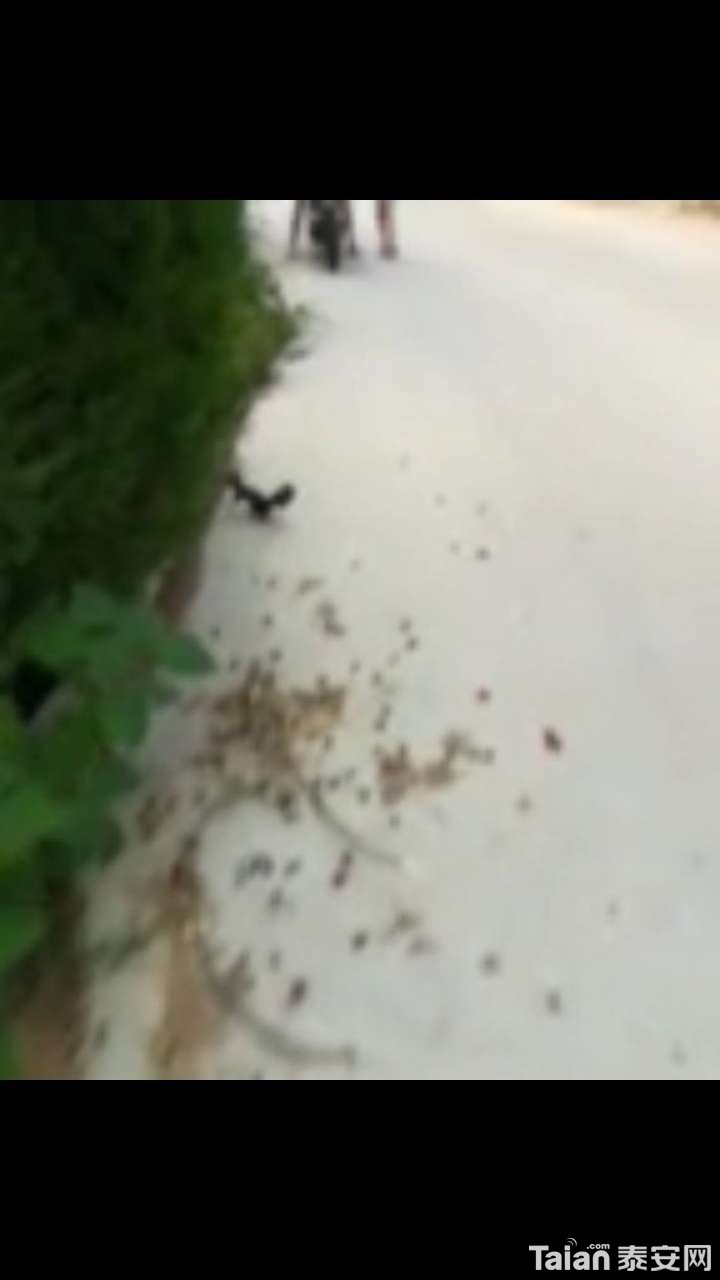 20180723_873967_1532311853867.jpg