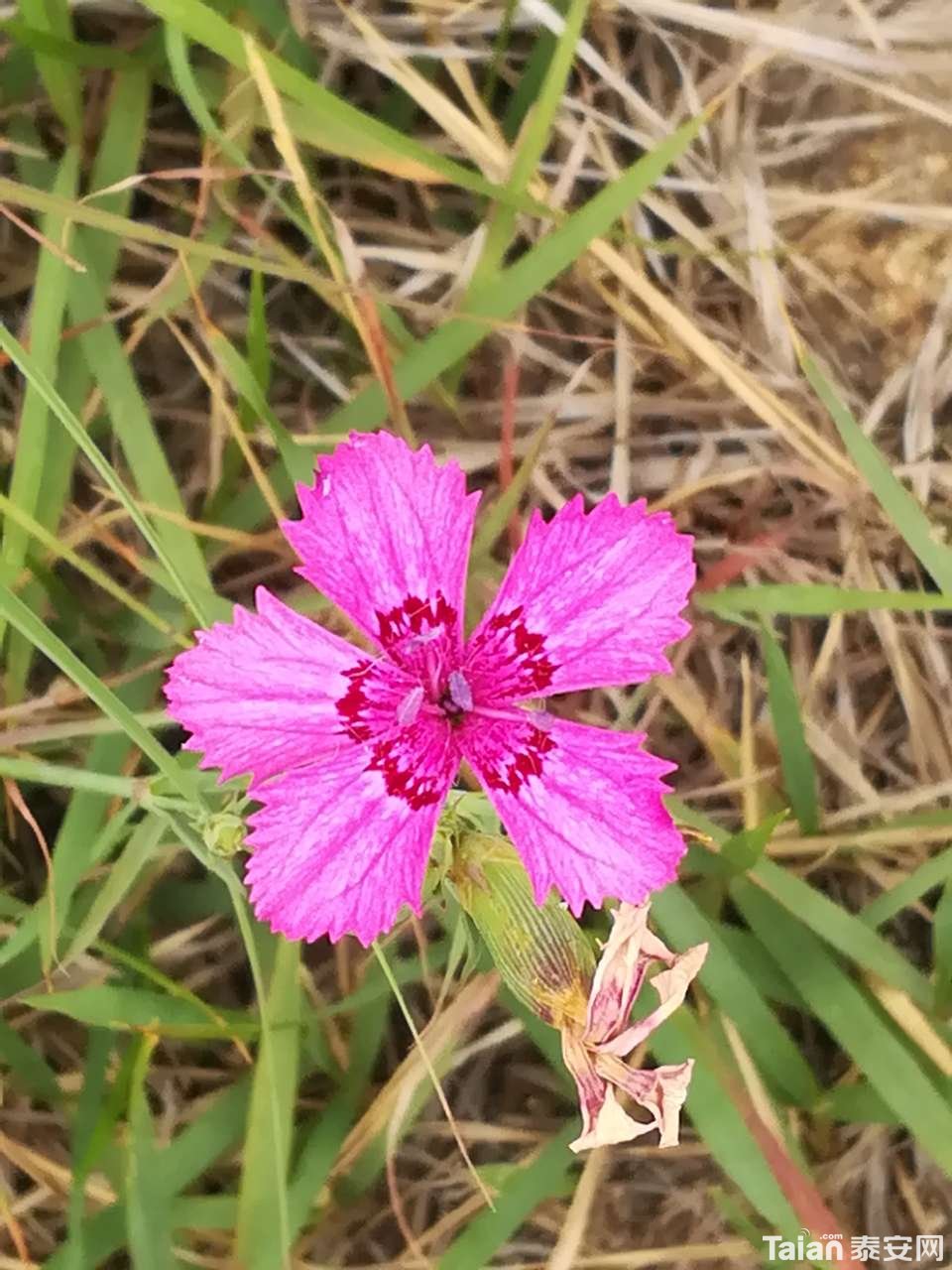 20180723_873967_1532311853988.jpg