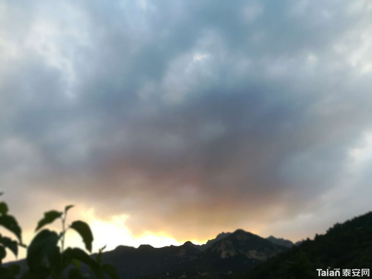 20180723_873967_1532311854533.jpg