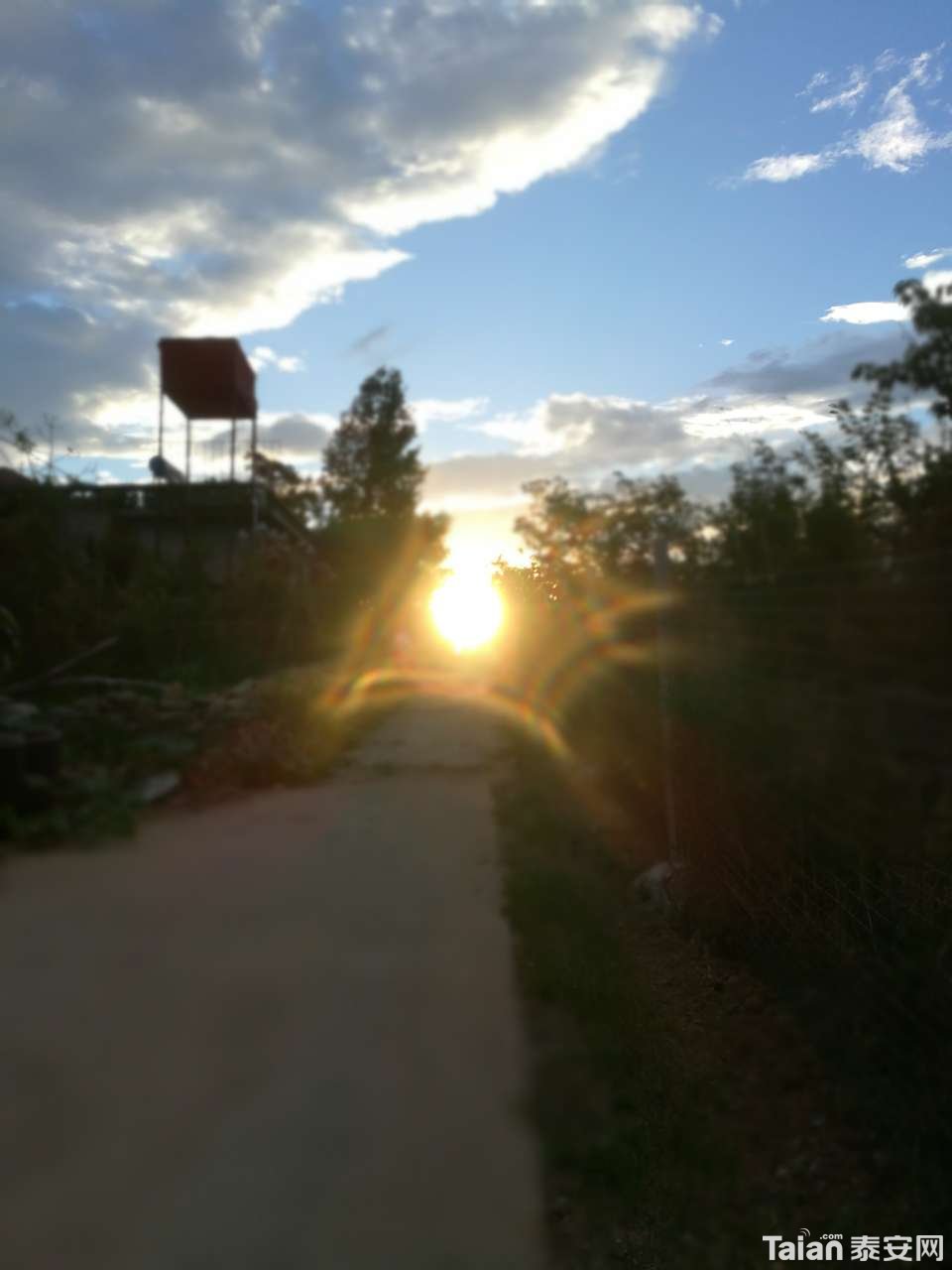 20180725_873967_1532486503926.jpg