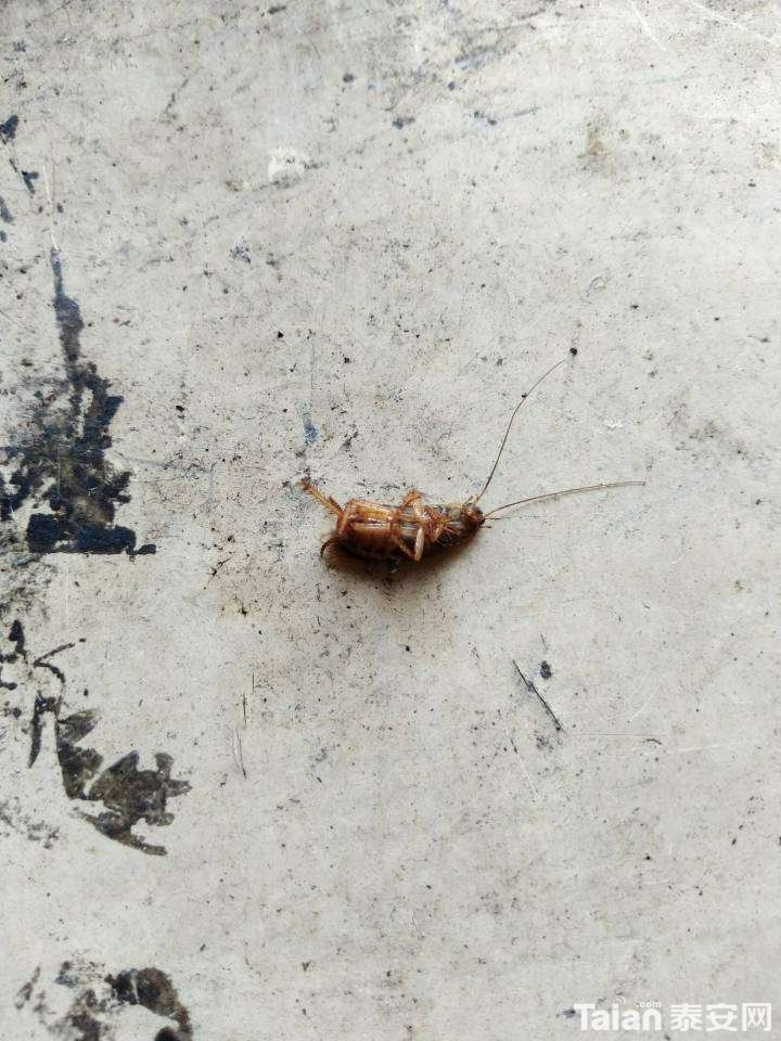 20180725_877325_1532533995390.jpg