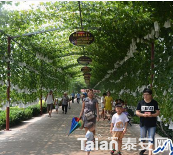 QQ��ͼ20180726101246.png