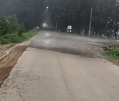 7b299ca4ly1frbt7cbb4rg20as095kjm.gif