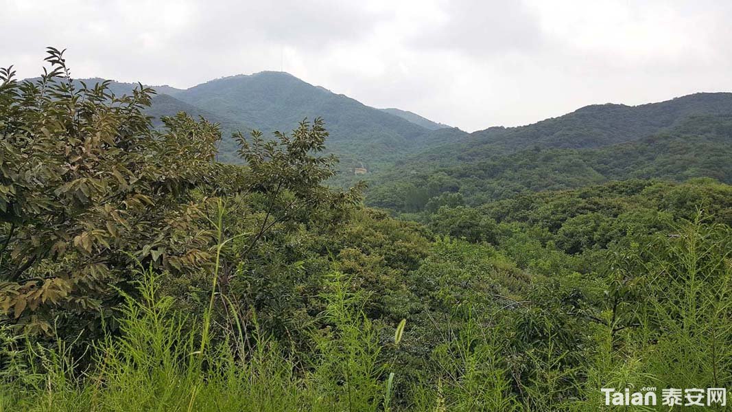 20180729_105147.jpg