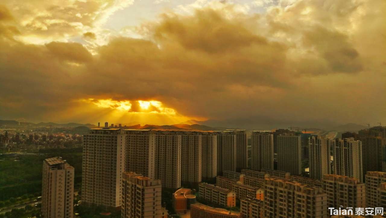 20180811_878531_1533975918798.jpg