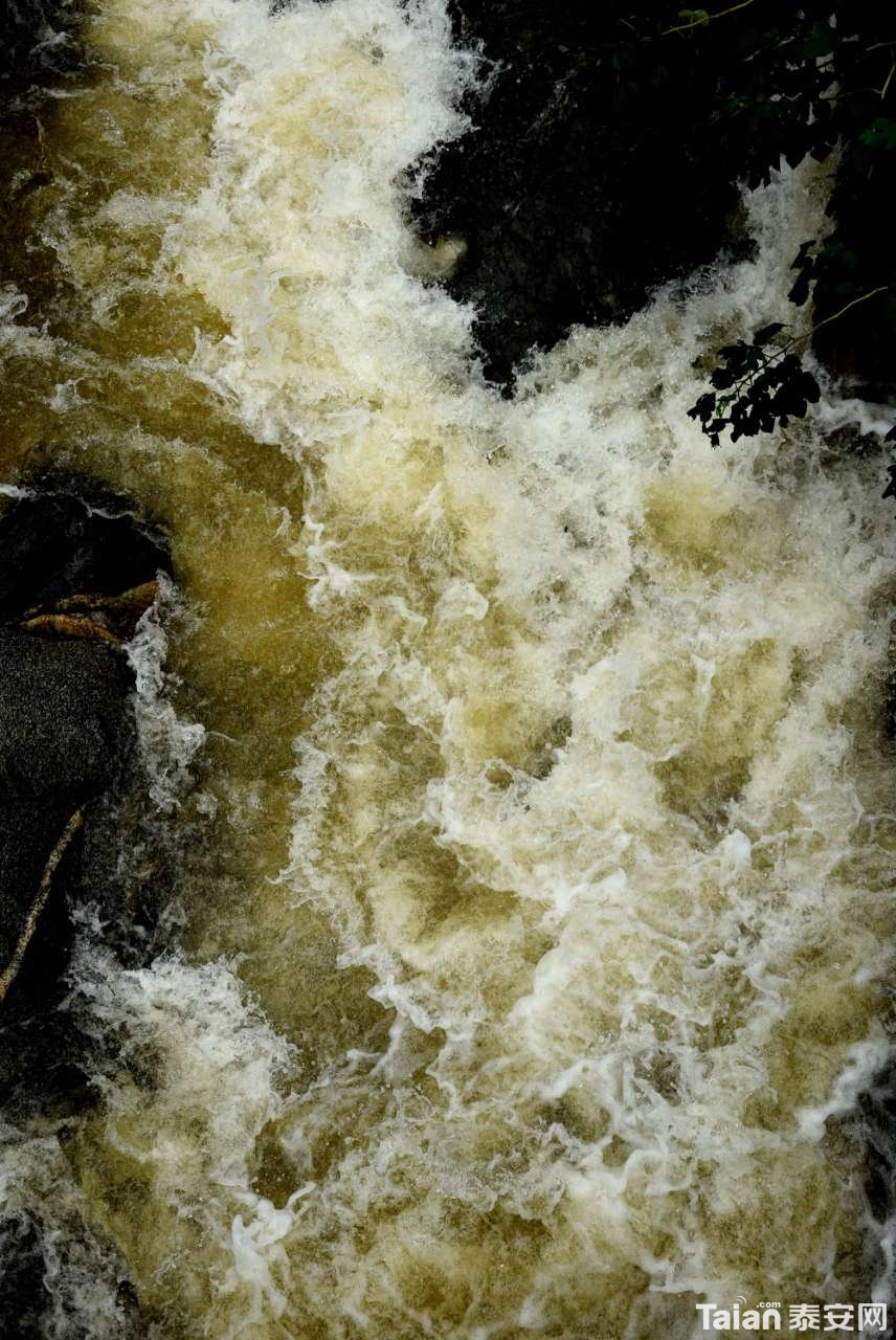 20180821_844465_1534810481952.jpg