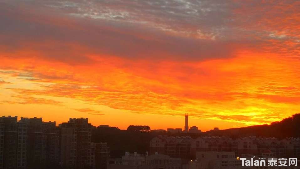 20180905_844987_1536103937509.jpg