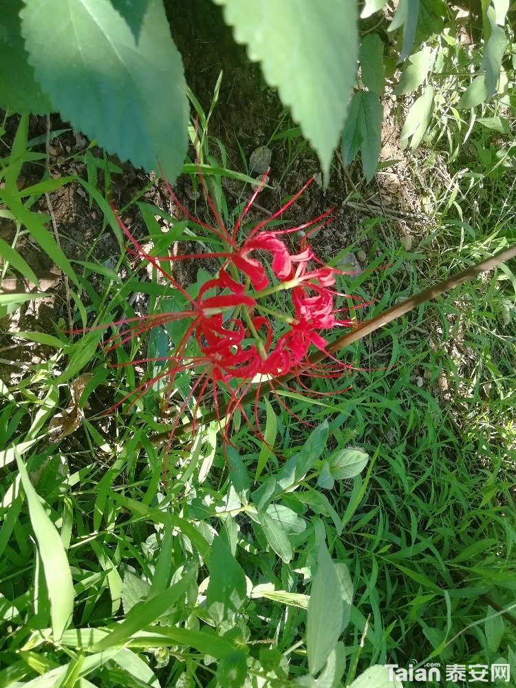 IMG_20180904_084705.jpg