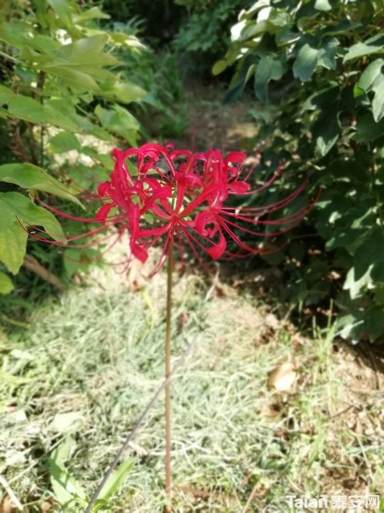 IMG_20180906_151602.jpg