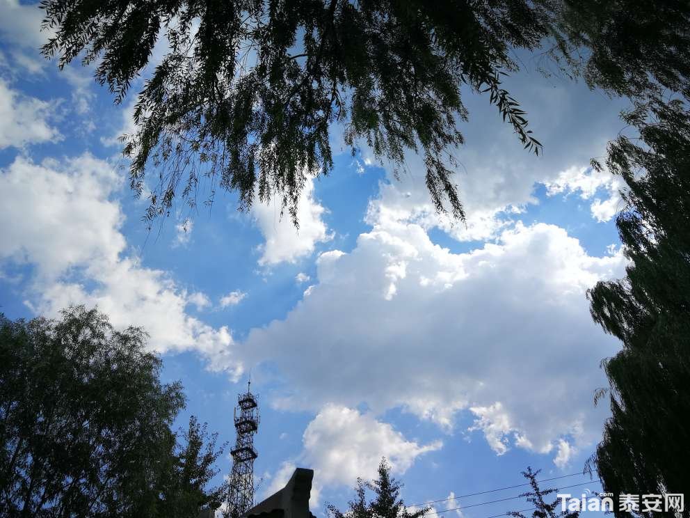 20180908_844987_1536387351252.jpg