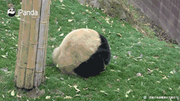 20180925_844987_1537883236004.gif