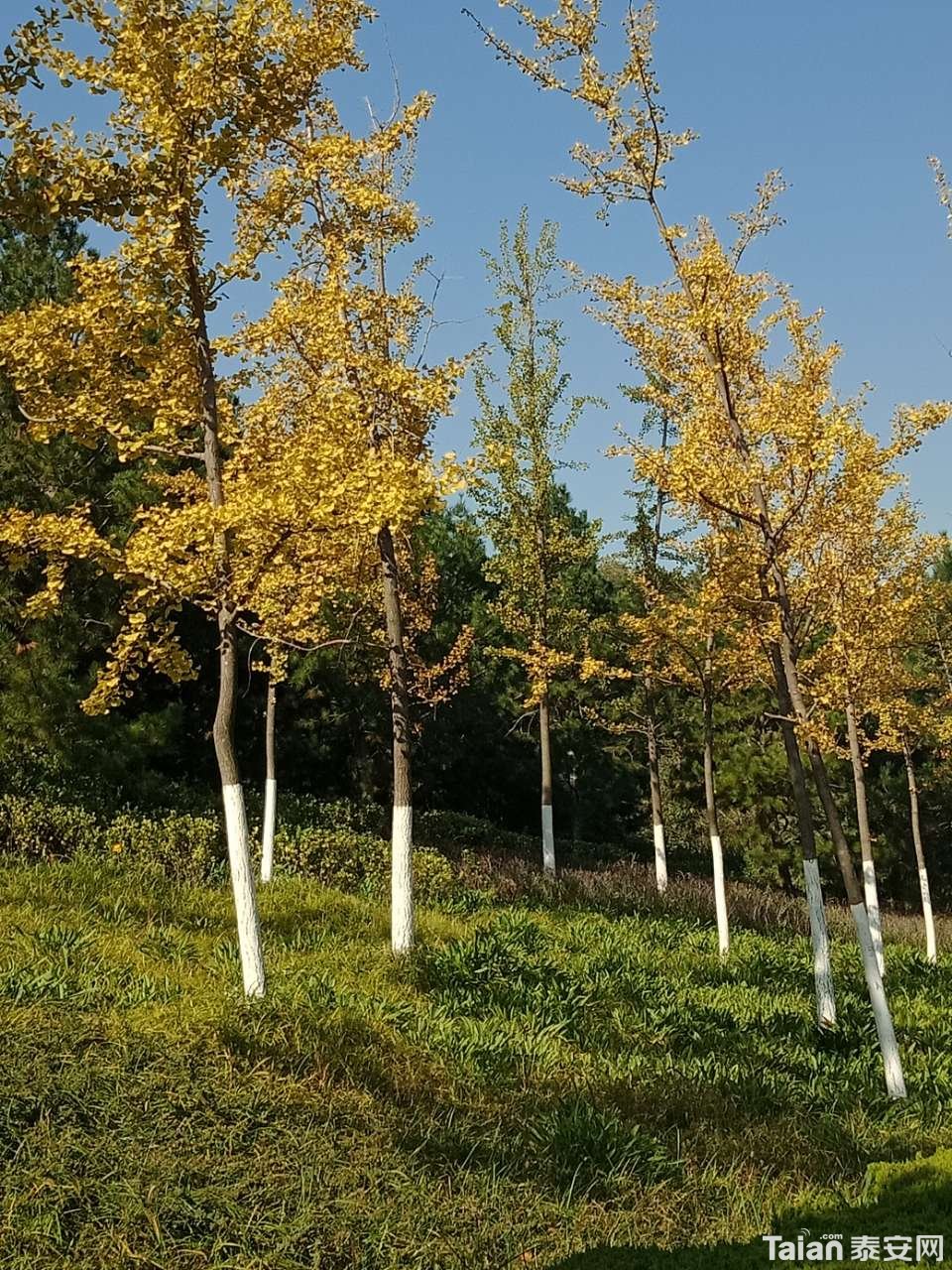 20181001_880687_1538347179888.jpg