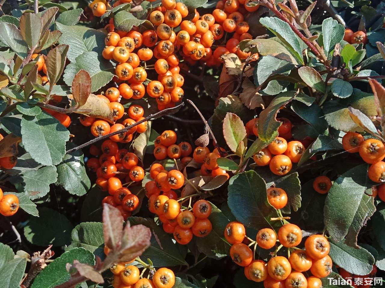 20181001_880687_1538347503969.jpg